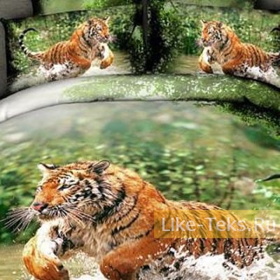 Комплект Сатин 3D ТИГРИНАЯ ОХОТА Комплект Сатин 3D ТИГРИНАЯ ОХОТА
